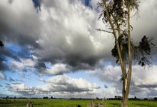 亞泰準備主場迎戰！奧科雷、譚龍回歸泰山之戰！.