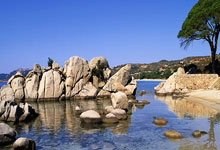 記者報道：佩特洛維奇或將加盟斯特拉斯堡，球員目前在權衡多種選擇.